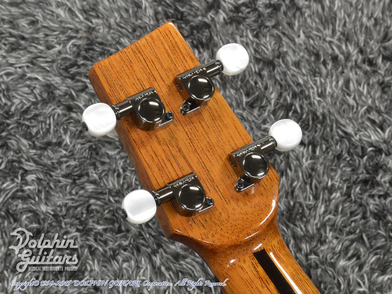 PEGASUS GUITARS C4 / T (Palo Escrito)|ドルフィンギターズ