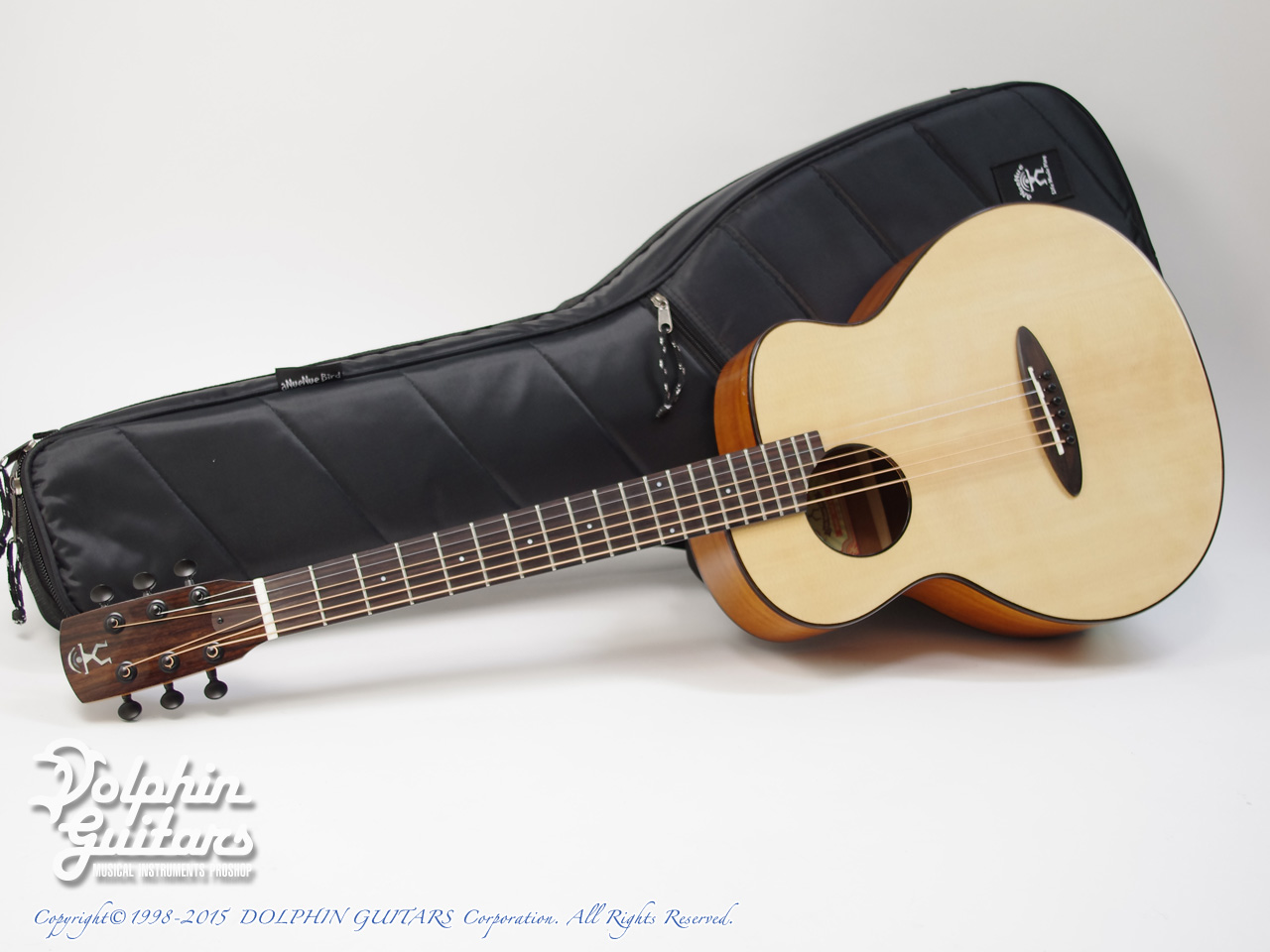 ANueNue Bird Guitar Series aNN-M12|ドルフィンギターズ