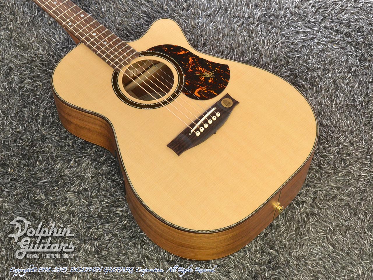 MATON The 70th Anniversary Edition 808C|ドルフィンギターズ