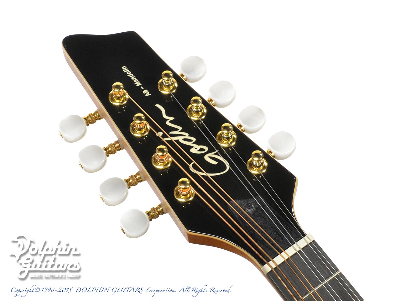 GODIN A-8 Mandolin|ドルフィンギターズ
